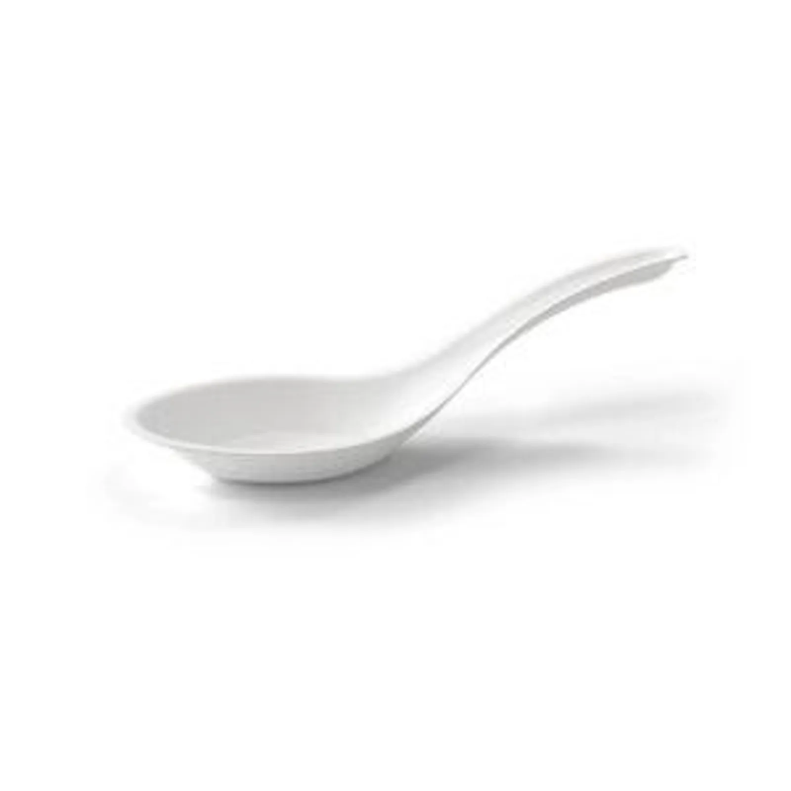 Bagasse Cutlery