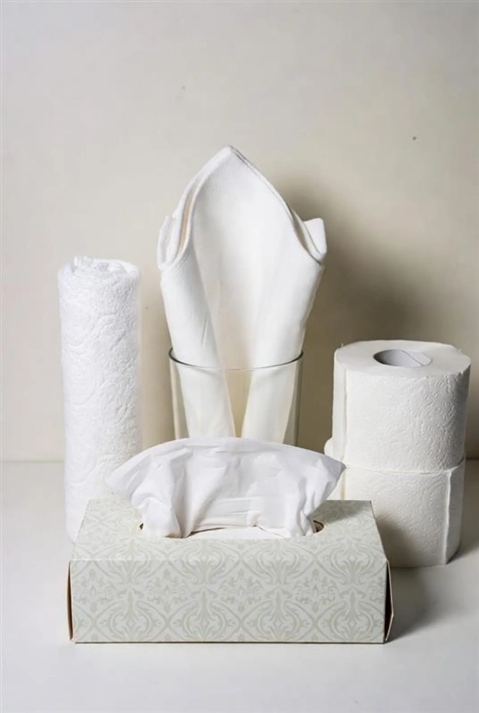 Napkins - Hand Towel - Toilet Paper - Tissues