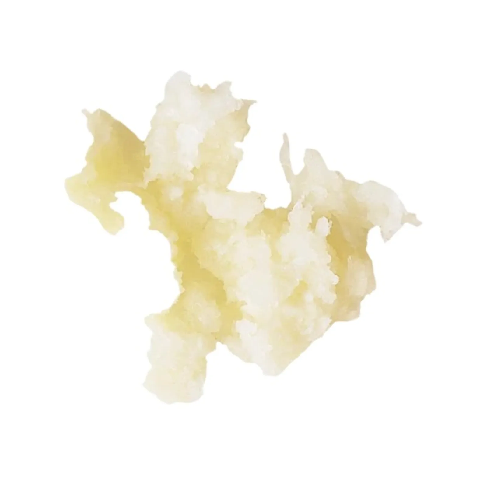 Robot Coupe 27079 - Horseradish Grater 1mm suits Series 1-4