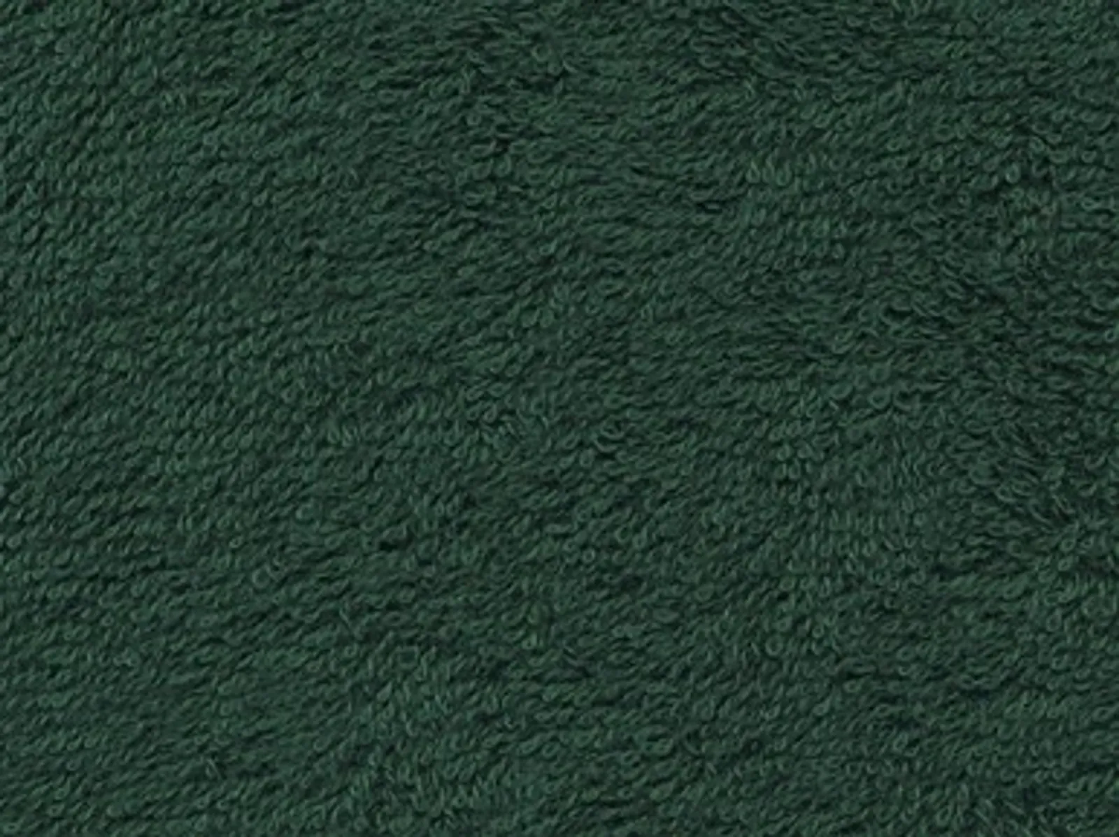 Alliance 75856 - Hand Towel Flagstaff Forest 40x60