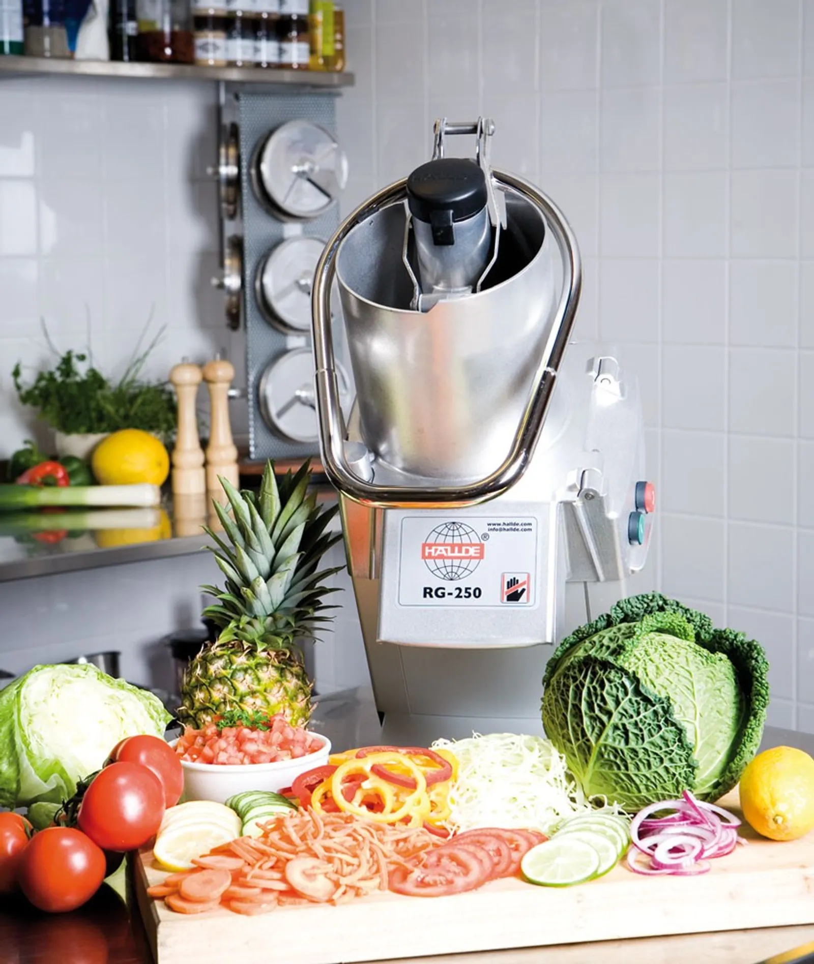 HALLDE  RG-250 Vegetable Preparation Machine