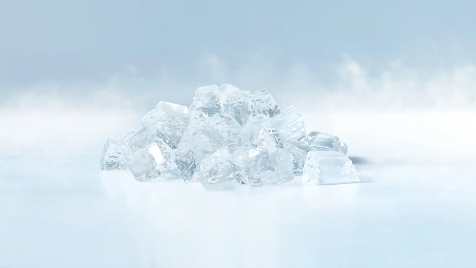 Hoshizaki FM-750AKE-N Nugget Ice Maker 500kg/day - BUNDLE