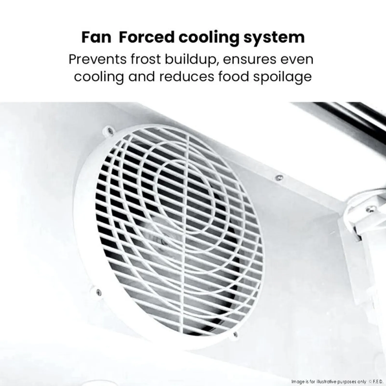 Thermaster LG-730BP - Two Glass Door Colourbond Upright Drink Fridge