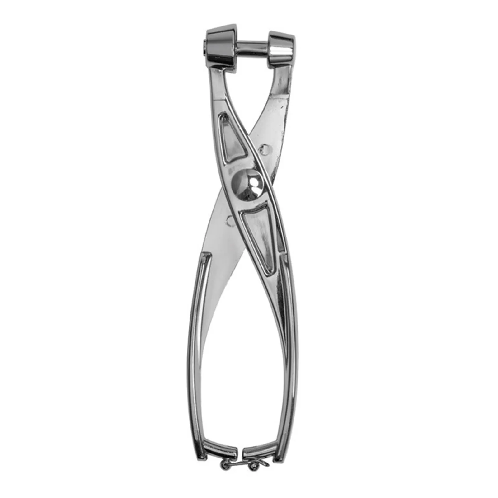 Avanti 15084 - Alloy Cherry and Olive Pitter