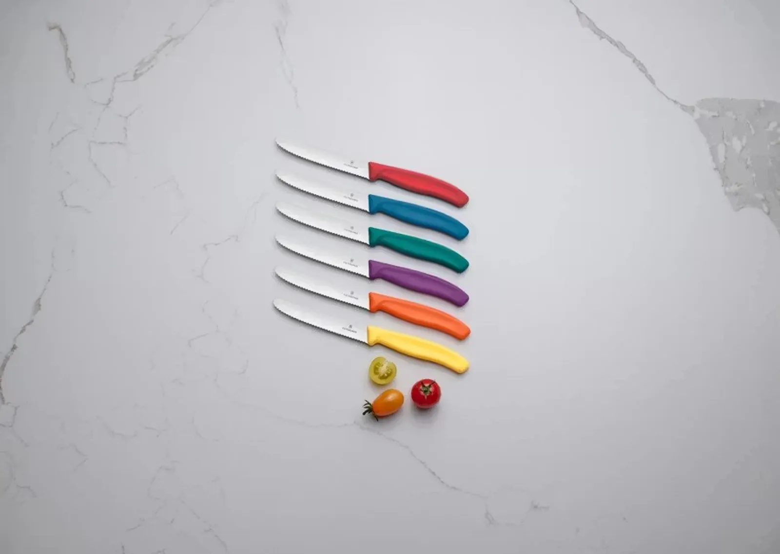 Victorinox 6.7836.6C1 - Swiss Classic Tomato and Table Knife Set, 6 Pieces, 11cm