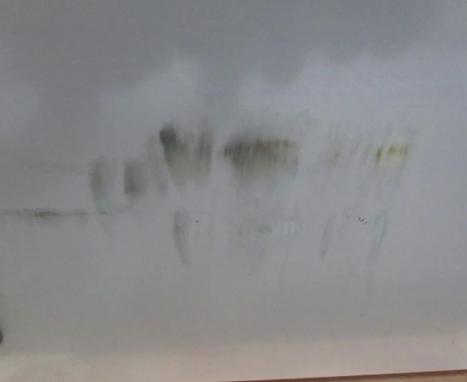 Washtech GM-R - Professional Undercounter Glasswasher / Dishwasher - 450mm Rack - Clearance (4)