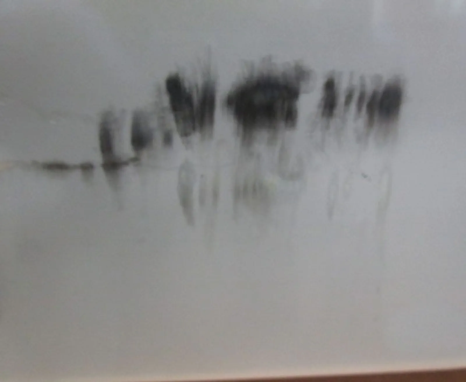 Washtech GM-R - Professional Undercounter Glasswasher / Dishwasher - 450mm Rack - Clearance (4)