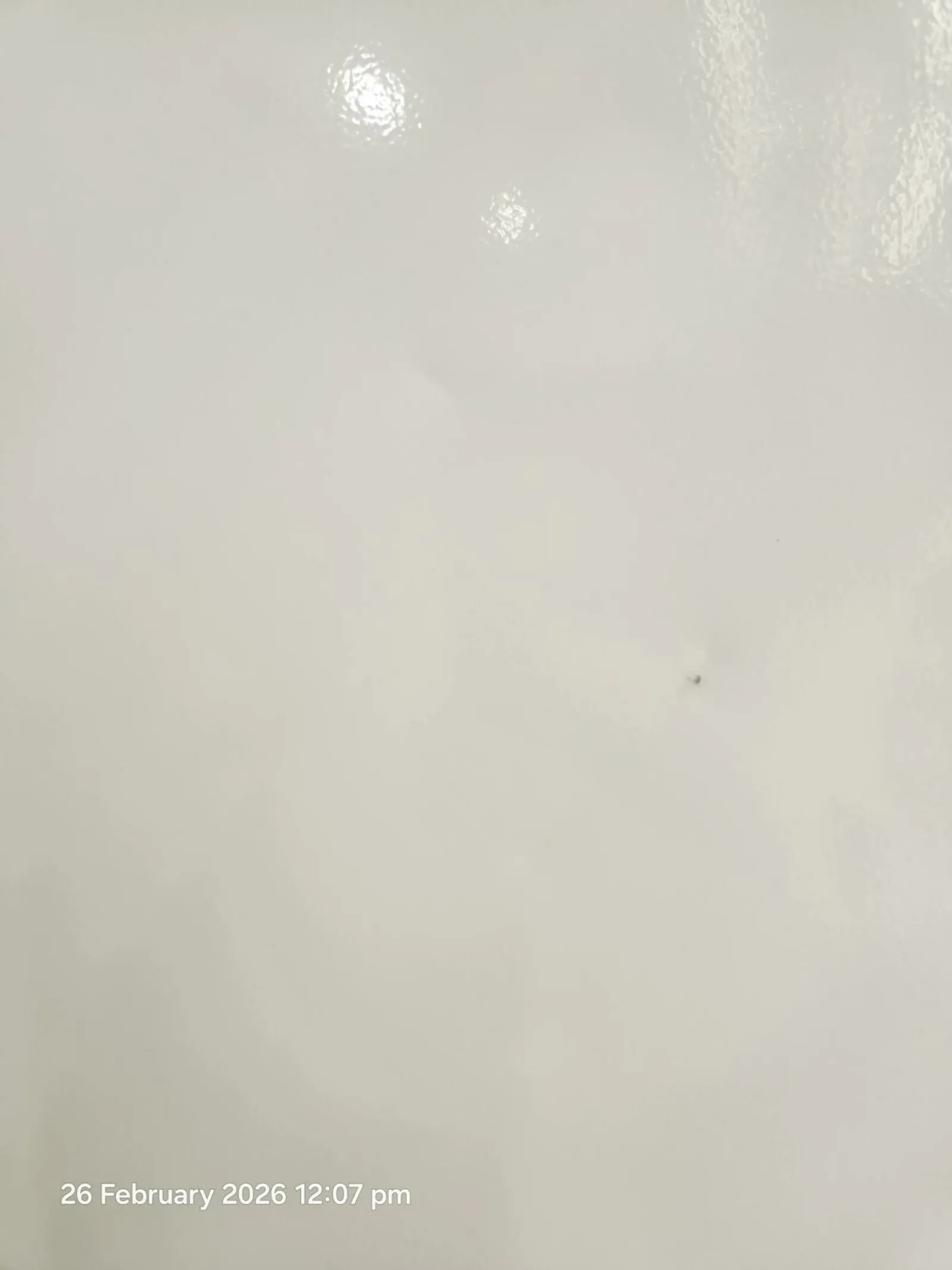 SKOPE TCE1000N EziCore 2 Door Upright Display Fridge - Clearance (3)