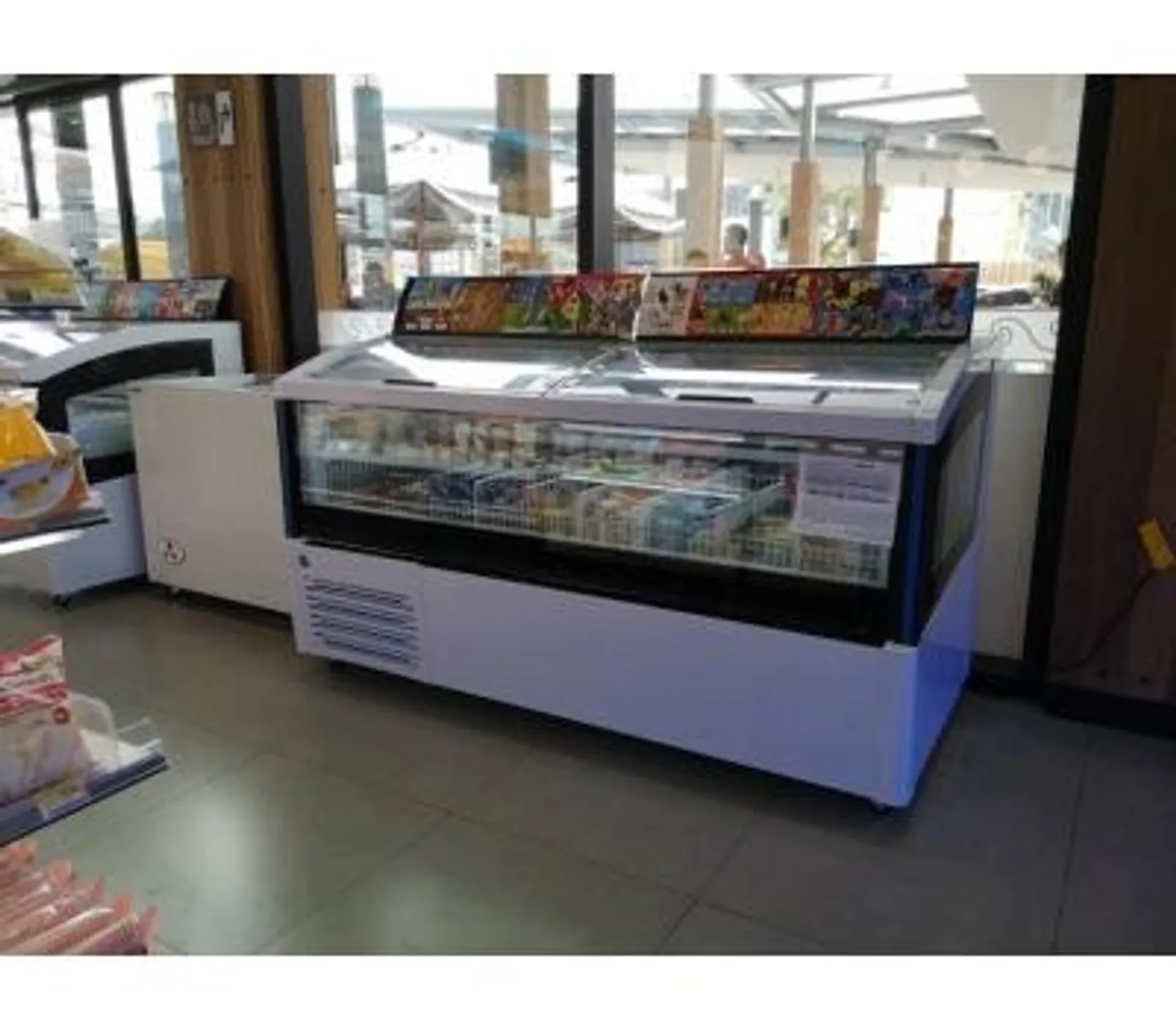 Iarp PASSION 210 - Wall Side Chest Freezer