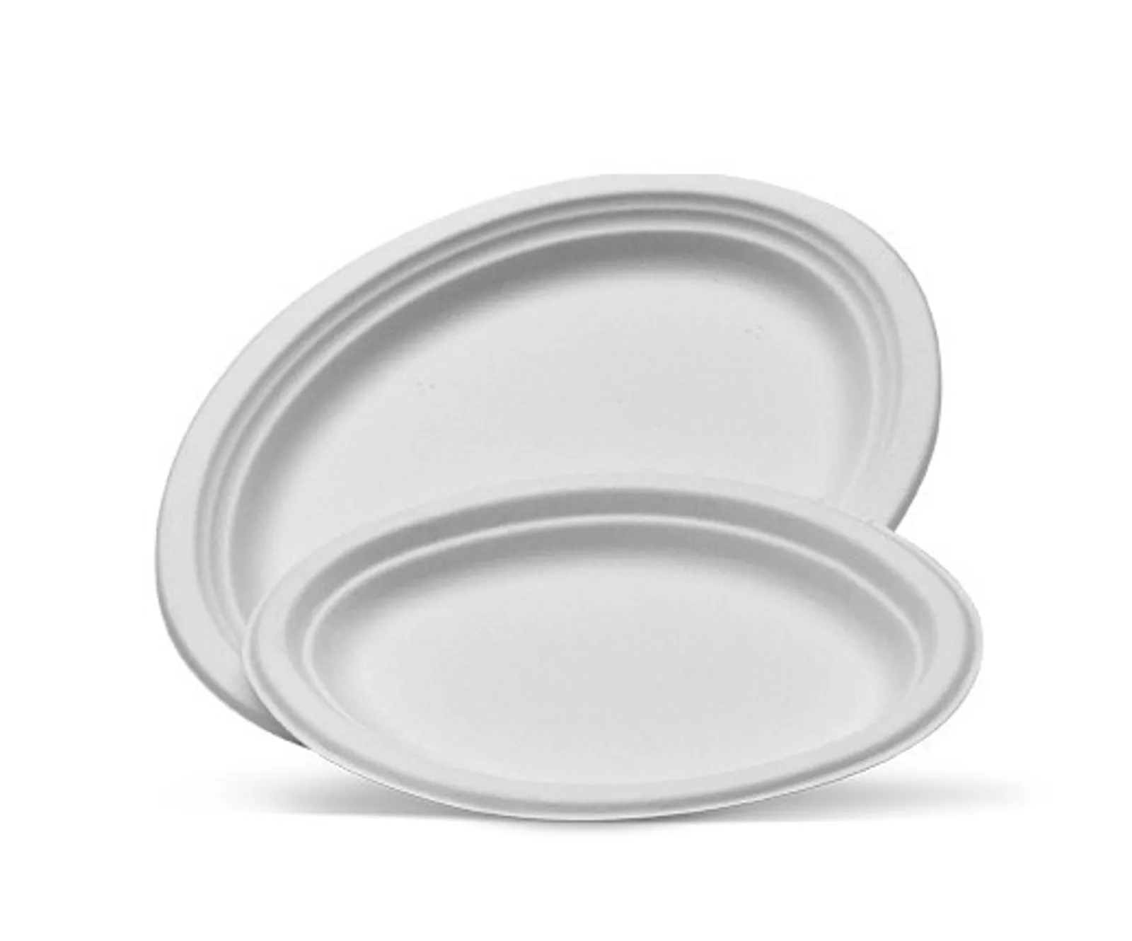 Pac Trading TY03 Large Oval Plate 251 x 318mm CARTON