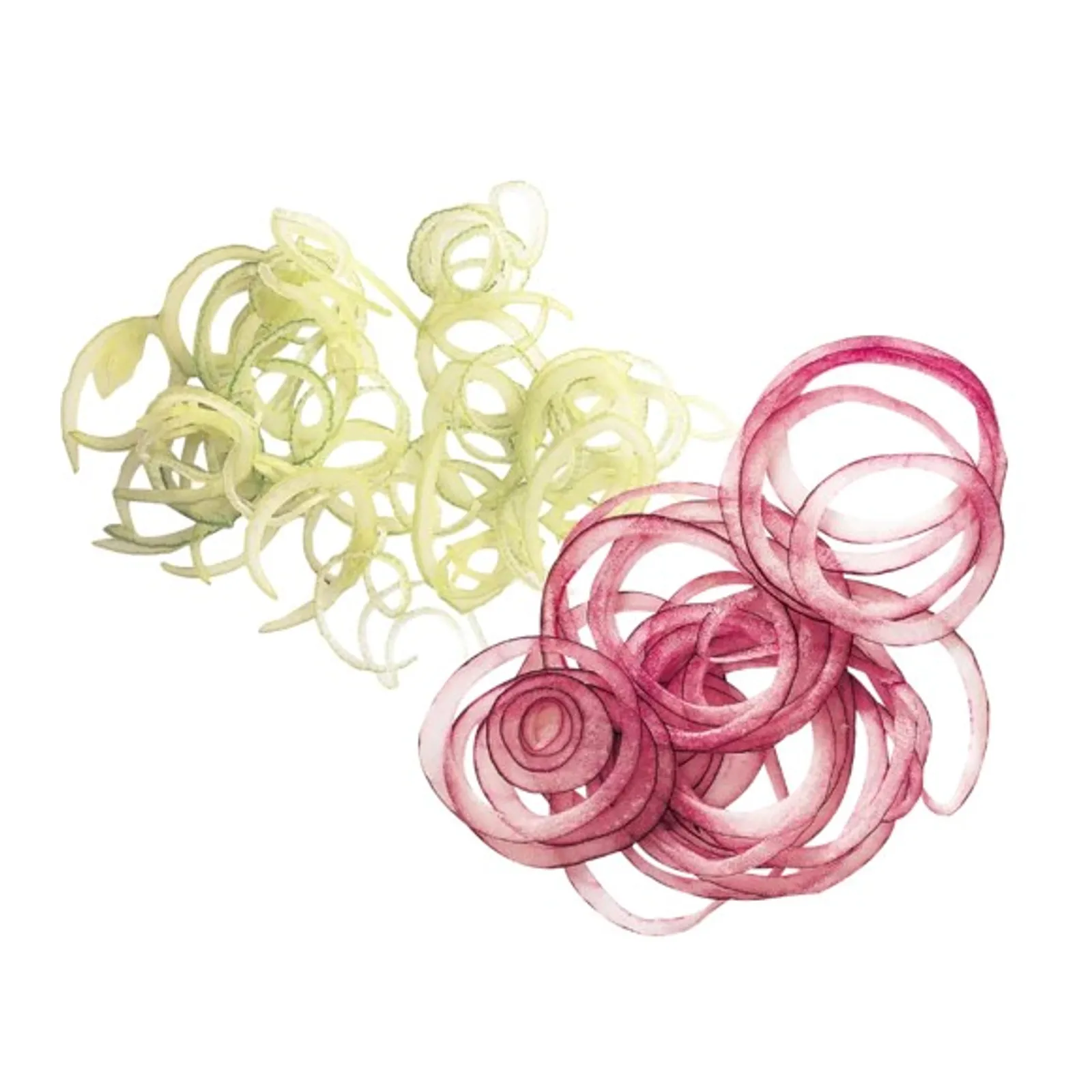 Robot Coupe 28062 (1mm) Slicer