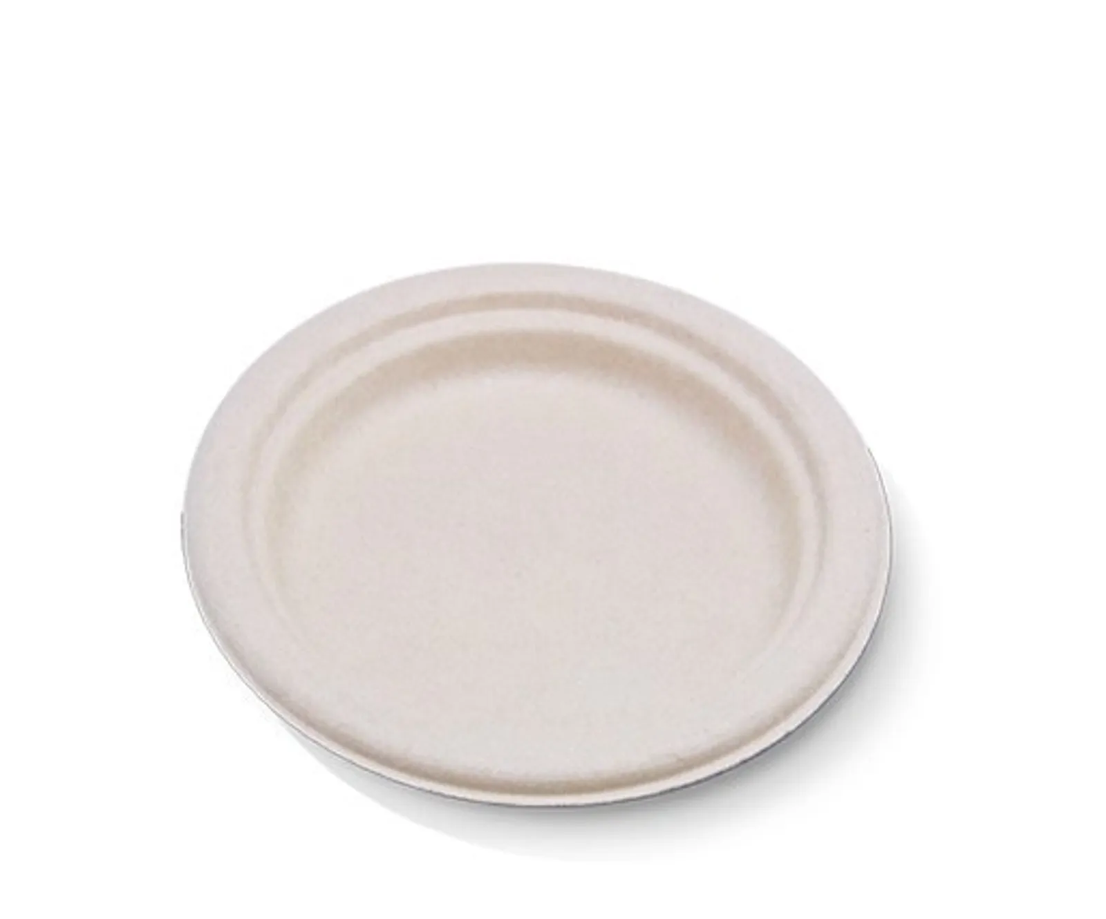 Disposable Plates & Bowls