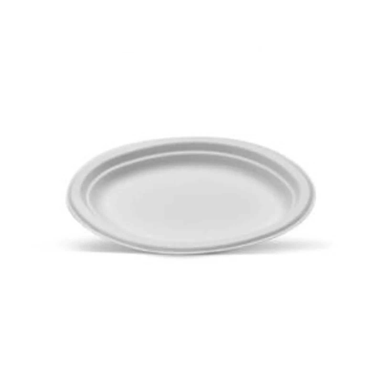 White Bagasse Plates