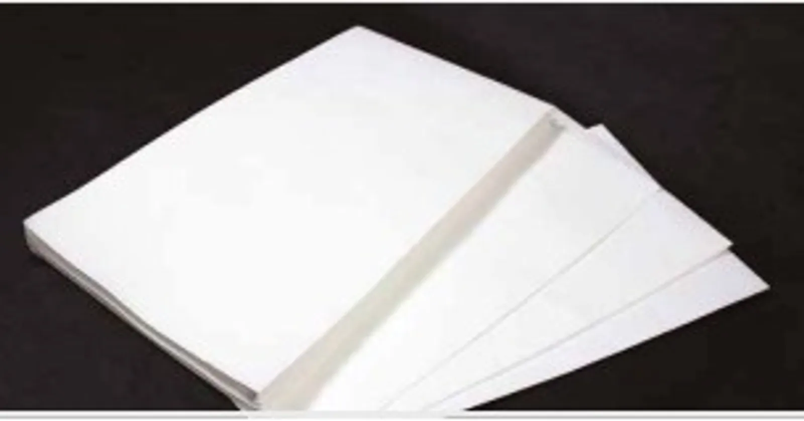 ACE Filter AF-FRYT1W - Frymaster Filter T1 337 x 460 (Polyester)