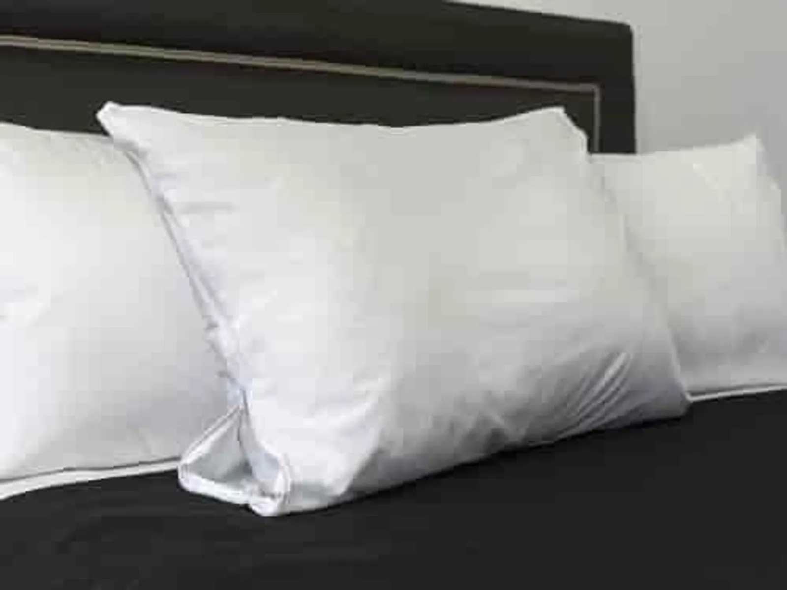 Alliance 85916 - Pillow Protector Stain Resistant European 65x65