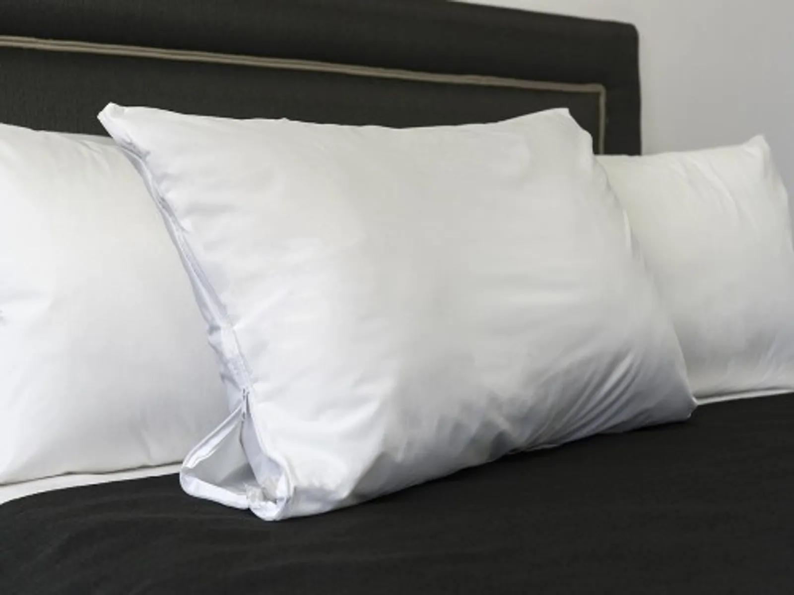 Alliance 17610 - Pillow Protector Cotton Percale King 55x95