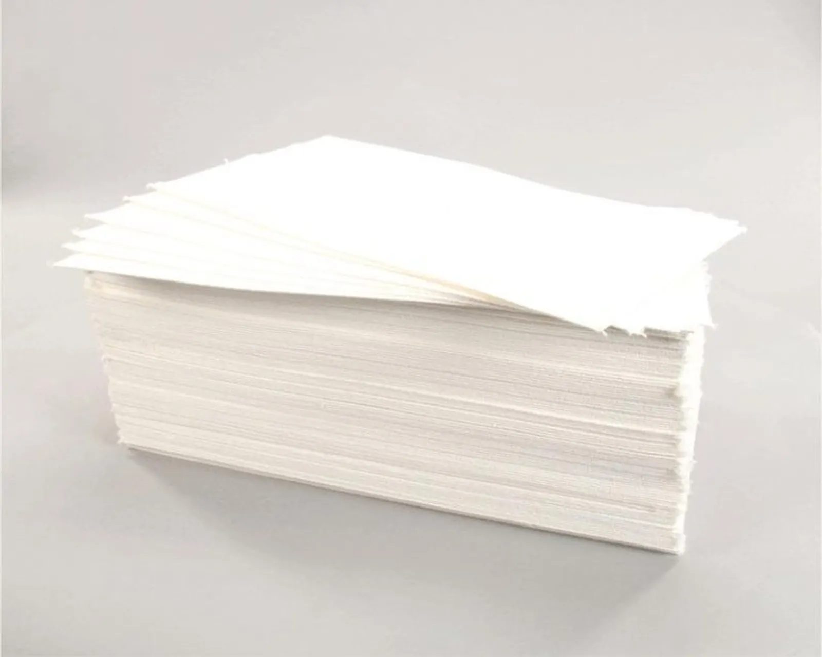 Pitco A6667104 - Filter Envelopes To Suit Solo Filter 14” Fryer (100pcs)