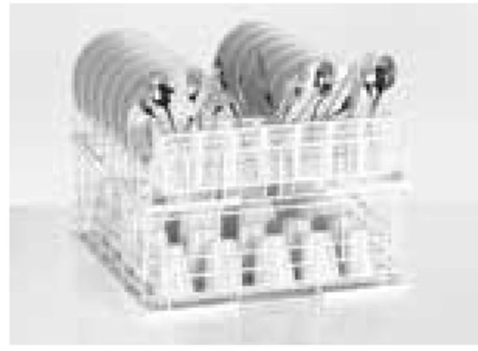 Winterhalter 80004798 Double Rack PT